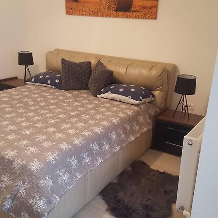 Apartament Cu 1 Camera Spatios ,Luminos . Apartman Kudzsir Kültér fotó