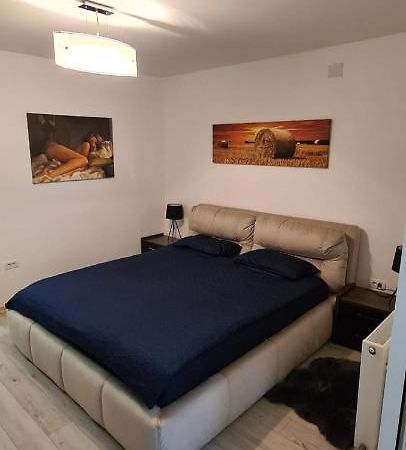 Apartament Cu 1 Camera Spatios ,Luminos . Apartman Kudzsir Kültér fotó