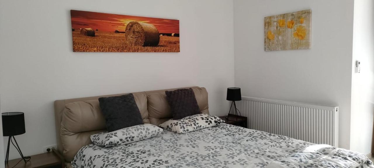 Apartament Cu 1 Camera Spatios ,Luminos . Apartman Kudzsir Kültér fotó