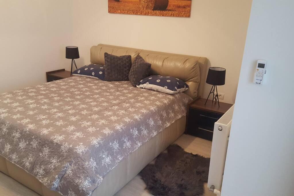 Apartament Cu 1 Camera Spatios ,Luminos . Apartman Kudzsir Kültér fotó