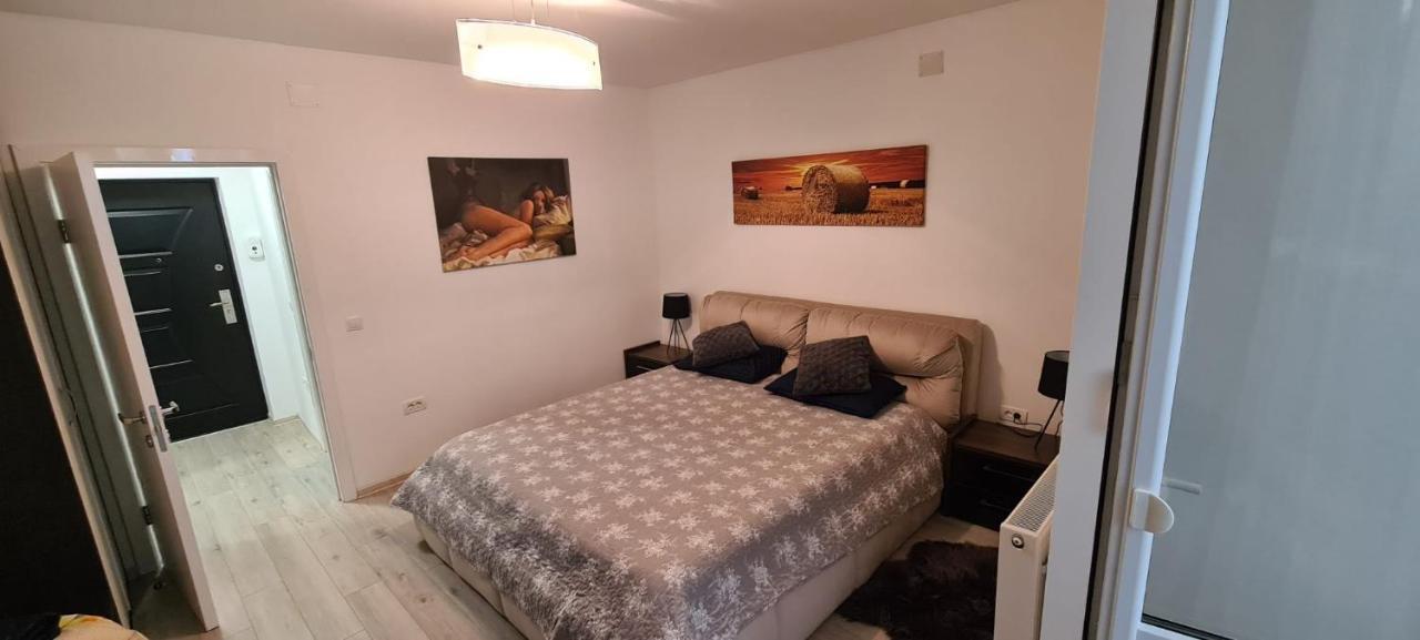 Apartament Cu 1 Camera Spatios ,Luminos . Apartman Kudzsir Kültér fotó