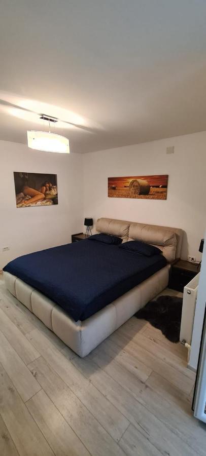 Apartament Cu 1 Camera Spatios ,Luminos . Apartman Kudzsir Kültér fotó