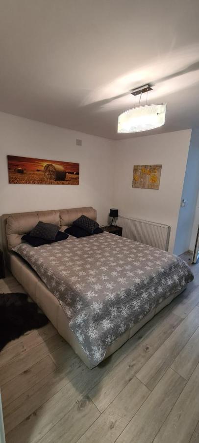 Apartament Cu 1 Camera Spatios ,Luminos . Apartman Kudzsir Kültér fotó